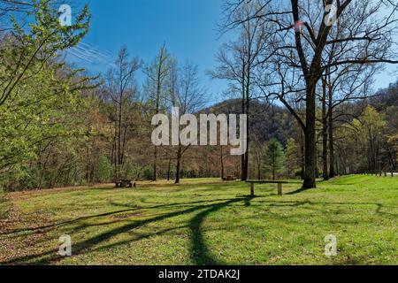 Ein Parkbereich mit hölzernen Picknicktischen zwischen Bäumen und Gras entlang der Straße mit den Bergen von Tennessee im Hintergrund bei strahlender Sonne Stockfoto