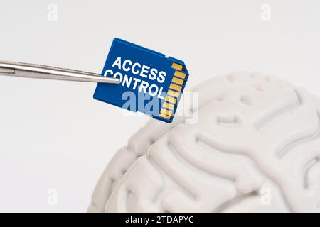 Ein Mann steckt eine Speicherkarte in sein Gehirn mit der Inschrift ZUGANGSKONTROLLE. Geschäfts- und Technologiekonzept. Stockfoto