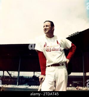 ST. PETERSBURG, FL - MÄRZ 1958: Stan Musial #6 der St. Louis Cardinals posiert für ein Porträt während des Frühjahrstrainings um März 1958 in St. Petersburg, Florida. (Foto von Hy Peskin) *** örtlicher Titel *** Stan Musial Stockfoto