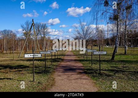 Gasse mit den Namen verlassener Dörfer in der Zone der Reaktorkatastrophe von Tschernobyl. Schilder mit Namen von Dörfern auf Kyrillisch. Stockfoto