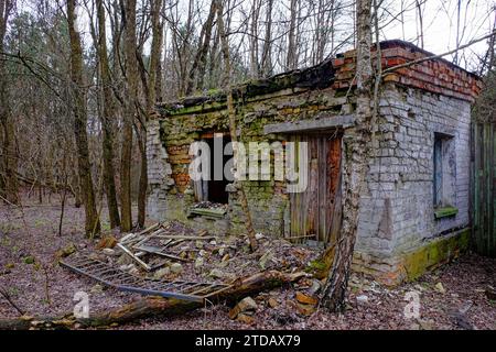 Ein großes, rotes Backsteingebäude mit einem hohen Kamin mitten in einem Wald. Das Gebäude ist heruntergekommen und hat kaputte Fenster. Stockfoto