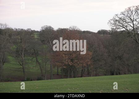 Delta Hotels by Marriott Breadsall Priory Country Club Stockfoto