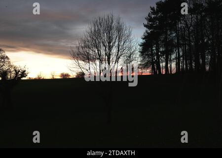 Delta Hotels by Marriott Breadsall Priory Country Club Stockfoto