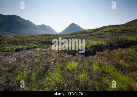 Buachaille Etive Beag vom Moorland aus gesehen auf dem West Highland Way. Glencoe, Schottland, Großbritannien. Stockfoto
