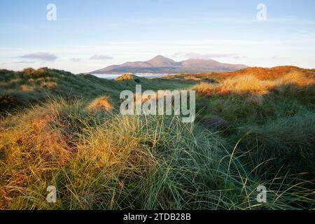 Die Mourne Mountains vom Murlough National Nature Reserve aus gesehen. Land Unten. Nordirland, Vereinigtes Königreich. Stockfoto