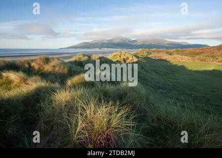 Die Mourne Mountains vom Murlough National Nature Reserve aus gesehen. Land Unten. Nordirland, Vereinigtes Königreich. Stockfoto