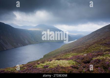 Ben Crom Reservoir in den Mourne Mountains. County Down, Nordirland, Großbritannien. Stockfoto