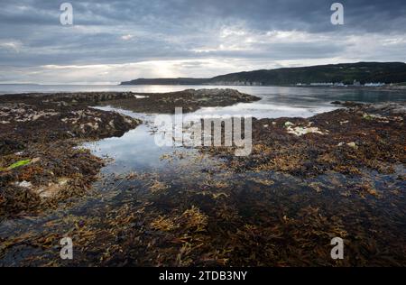 Seetang und Felsenbäder auf Rathlin Island. County Antrim, Nordirland. UK. Stockfoto