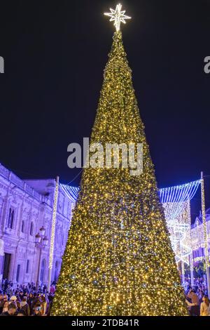 Sevilla, Spanien - 16. Dezember 2023: Weihnachtsbaum im Rathaus von Sevilla, Andalusien, Spanien Stockfoto