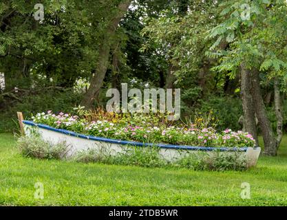 Altes Ruderboot voller Blumen Stockfoto