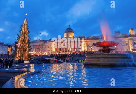 Trafalgar Square, London, England, Großbritannien - 10. Dezember 2023: Blick auf den Weihnachtsbaum, der eine magische Szene schafft, die die majestätische Nati verschmilzt Stockfoto