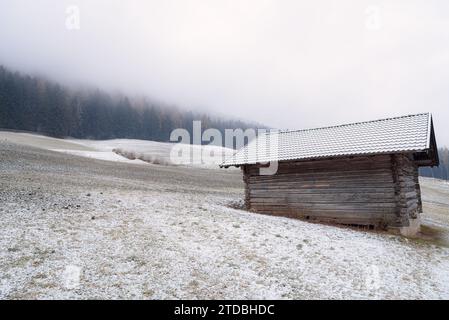 Alte Holzhütte auf einer schneebedeckten Wiese, umgeben von dichtem Wald in den Bergen an einem nebeligen Wintertag Stockfoto