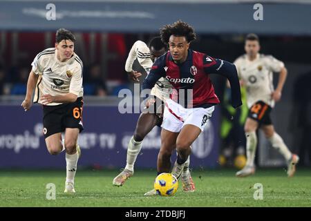 Bologna, Italien. 17. Dezember 2023. Während des italienischen Spiels der Serie A zwischen Bologna 2-0 Roma im Renato Dall Ara Stadion am 17. Dezember 2023 in Bologna, Italien. Quelle: Maurizio Borsari/AFLO/Alamy Live News Stockfoto