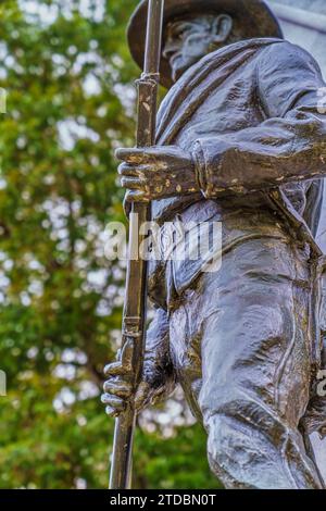 Details mit einer Soldatenstatue am Confederate Memorial auf dem Fort Donelson National Battlefield in Dover, Tennessee. Stockfoto