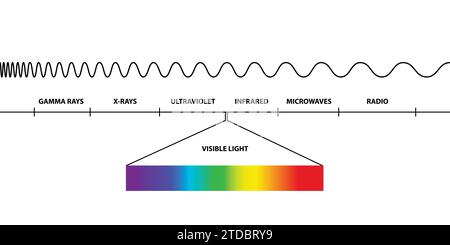 Frequenzen, Bereich des sichtbaren Lichts des elektromagnetischen Spektrums, sichtbar für das menschliche Auge, elektromagnetische Strahlung, niedrig, hoch, Radiowellen, Mikrowelle Stock Vektor