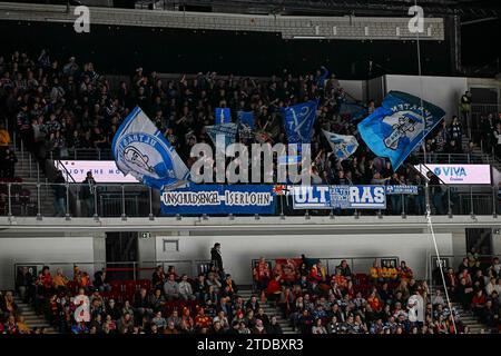 Eishockey DEL - Düsseldorfer EG vs Iserlohn Roosters am 17.11.2023 im PSD Bank Dome in Düsseldorf der Gästeblock Foto: Osnapix Stockfoto