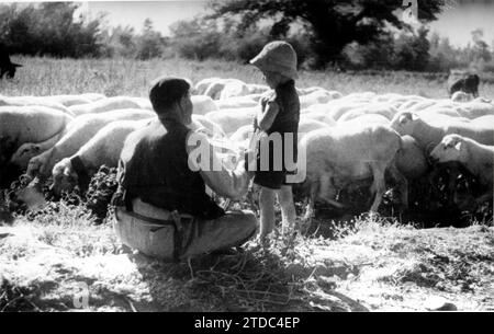 07/31/1938. Ein Junge auf dem Feld mit seinem Vater, der sich um die Schafe kümmert. Quelle: Album/Archivo ABC Stockfoto