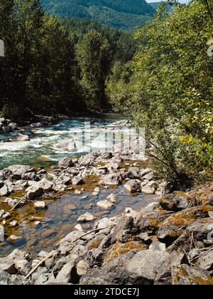 Ein Fluss, der im Sommer über Felsen durch dichte Wälder mit einem kleinen goldenen Pool zwischen Steinen an der Seite rauscht Stockfoto