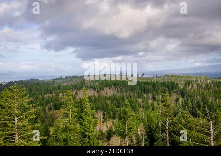 Ein Blick auf die Stadt Astoria in Oregon am Columbia River Stockfoto