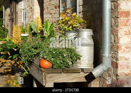 Dekoration mit Pflanzen, Kürbis und Milchkanne vor dem Haus auf einem Bauernhof in Deutschland Stockfoto