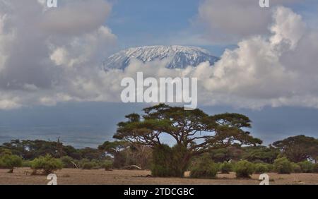 Malerischer Blick auf den kilimandscharo mit schneebedecktem uhuru-Gipfel vom amboseli-Nationalpark, kenia Stockfoto