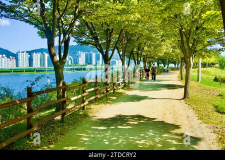 Hanam City, Südkorea - 1. Oktober 2023: Ein friedlicher, unbefestigter Wanderweg im Riverside Park, beschattet von einem grünen Baumdach, mit dem Fluss und der Wohnung Stockfoto