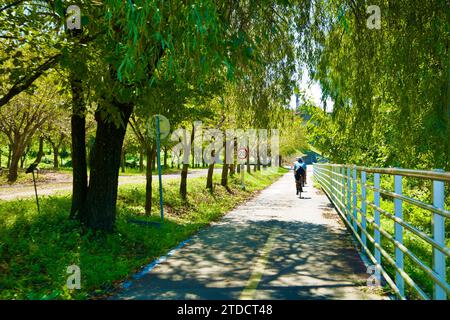 Hanam City, Südkorea - 1. Oktober 2023: Radfahrer genießen eine Fahrt unter den Baumkronen, die den grünen Radweg in einem natürlichen tunn umgibt Stockfoto