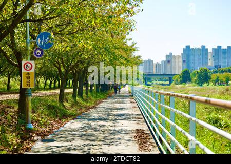 Hanam City, Südkorea - 1. Oktober 2023: Ein langer, gerader Radweg zieht sich in die Ferne, der von Bäumen auf einer Seite und einem Zaun auf der OT begrenzt wird Stockfoto