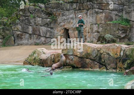 Robbenfütterung im Berliner Zoo 2006 Stockfoto