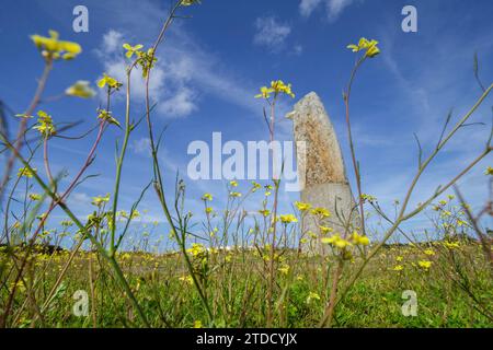 Menhir de Bulhoa , proximo a Monsaraz, Telheiro, Alentejo, , Portugal Stockfoto