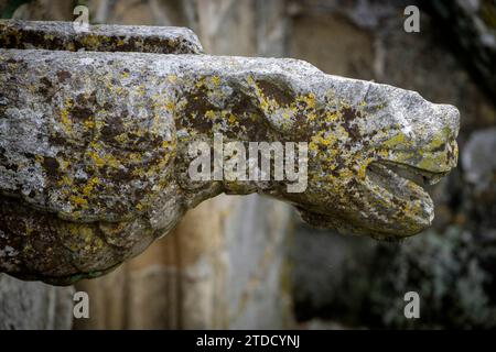 claustro, construido entre 1317 y 1340, estilo Gótico, catedral de Evora, Basílica Sé Catedral de Nossa Senhora da Assunção, Evora, Alentejo, Portuga Stockfoto