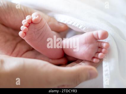 Die Füße des Neugeborenen und die Hände der Mutter, die die Füße halten Stockfoto