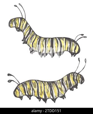 Aquarell caterpillar Illustration Set, Schmetterling Wachstumsphase, Lebenszyklus Stockfoto