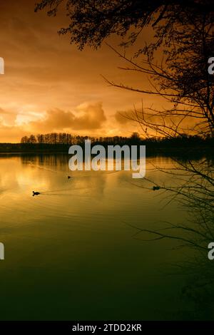 Tegal Lake Berlin Deutschland Stockfoto