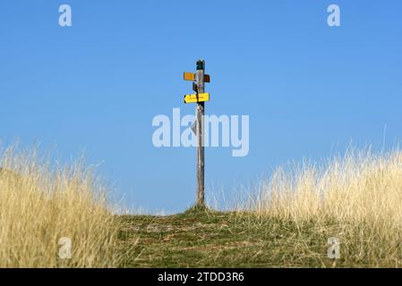 Wegbeschilderung für Wegbeschreibungen oder Richtung nach vorn Stockfoto