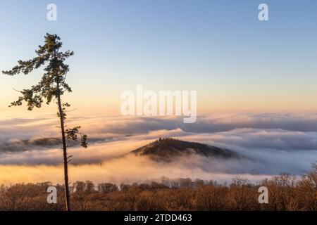 Königsteiner Burgen im Nebel die Burgruine Falkenstein ragt am Morgen bei Sonnenaufgang aus einer Nebeldecke., Königstein Hessen Deutschland *** Königstein Burgen im Nebel die Ruine der Burg Falkenstein erheben sich bei Sonnenaufgang aus einer Nebeldecke , Königstein Hessen Deutschland Stockfoto