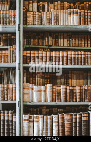 Bibliothek Buch Akademische Universität Reading Stockfoto