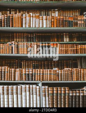 Bibliothek Buch Akademische Universität Reading Stockfoto