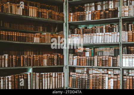 Bibliothek Buch Akademische Universität Reading Stockfoto