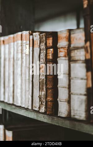 Bibliothek Buch Akademische Universität Reading Stockfoto
