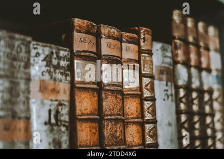 Bibliothek Buch Akademische Universität Reading Stockfoto