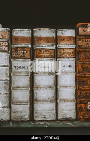 Bibliothek Buch Akademische Universität Reading Stockfoto