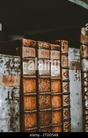 Bibliothek Buch Akademische Universität Reading Stockfoto
