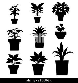 Zimmerpflanzen. Vektor-Set Silhouetten Hauspflanzen, Sukkulenten im Topf. Exotische Blumen mit Stielen und Blättern im Innenbereich. Monstera, Ficus, Pothos, Yuka, Dracaena, Kakteen, Schlangenpflanze für Zuhause und Innenraum Stock Vektor