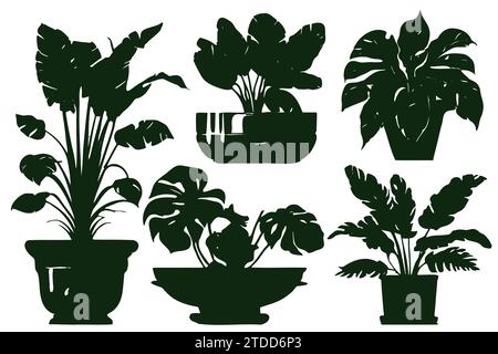 Zimmerpflanzen. Vektor-Set Silhouetten Hauspflanzen, Sukkulenten im Topf. Exotische Blumen mit Stielen und Blättern im Innenbereich. Monstera, Ficus, Pothos, Yuka, Dracaena, Kakteen, Schlangenpflanze für Zuhause und Innenraum Stock Vektor