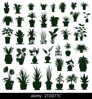 Zimmerpflanzen. Vektor-Set Silhouetten Hauspflanzen, Sukkulenten im Topf. Exotische Blumen mit Stielen und Blättern im Innenbereich. Monstera, Ficus, Pothos, Yuka, Dracaena, Kakteen, Schlangenpflanze für Zuhause und Innenraum Stock Vektor