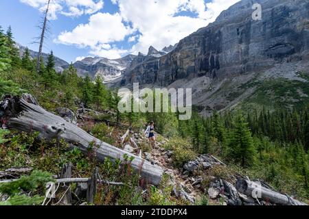 Wunderschönes Mädchen, Das Durch Den Thick Forest Wandert Stockfoto