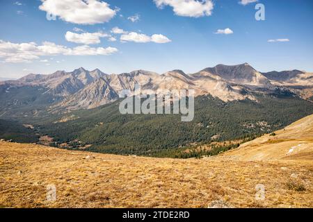 Texas Creek Basin in der Collegiate Peaks Wilderness, Colorado Stockfoto