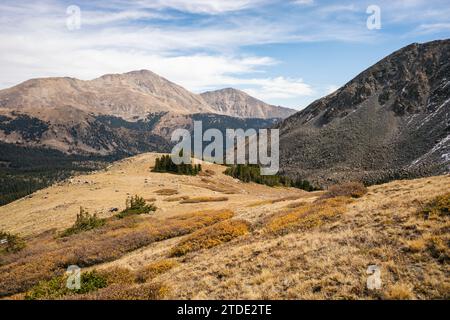 Landschaft in der Collegiate Peaks Wilderness, Colorado Stockfoto