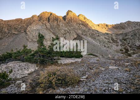 Zerklüftete Berge in der Collegiate Peaks Wilderness, Colorado Stockfoto